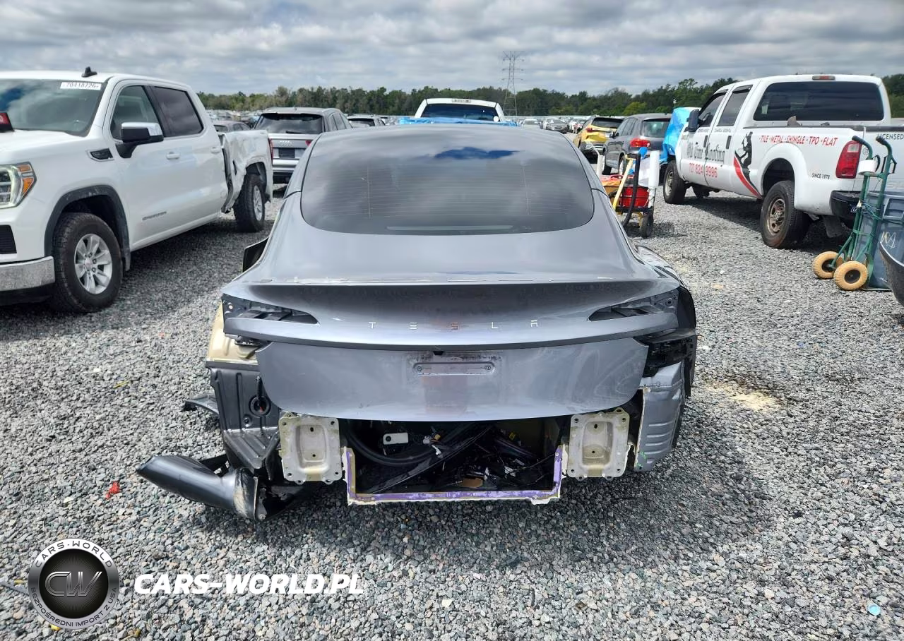 2025 Tesla Model 3 VIN:5YJ3E1EA7SF029120 - 6