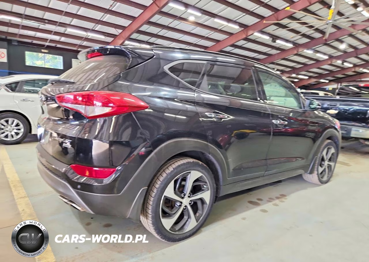 2016 Hyundai Tucson Limited VIN:KM8J3CA29GU246850 - 3