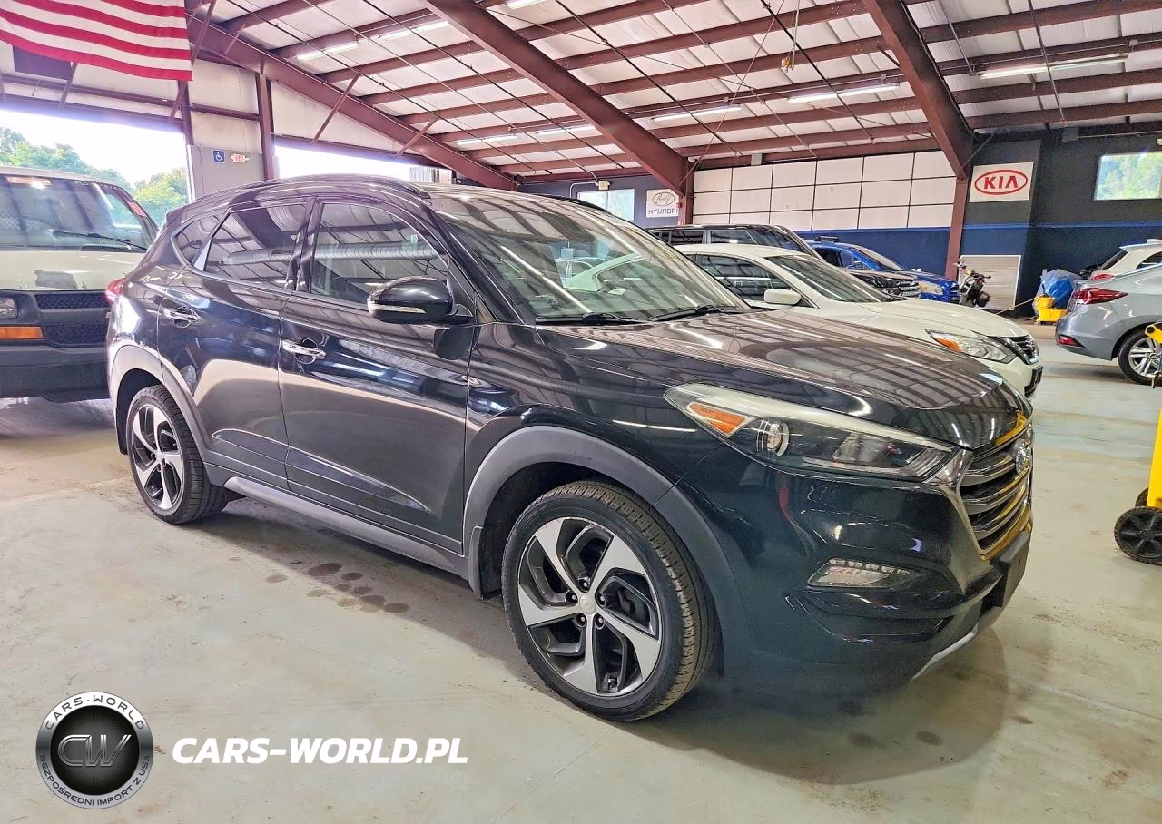 2016 Hyundai Tucson Limited VIN:KM8J3CA29GU246850 - 4