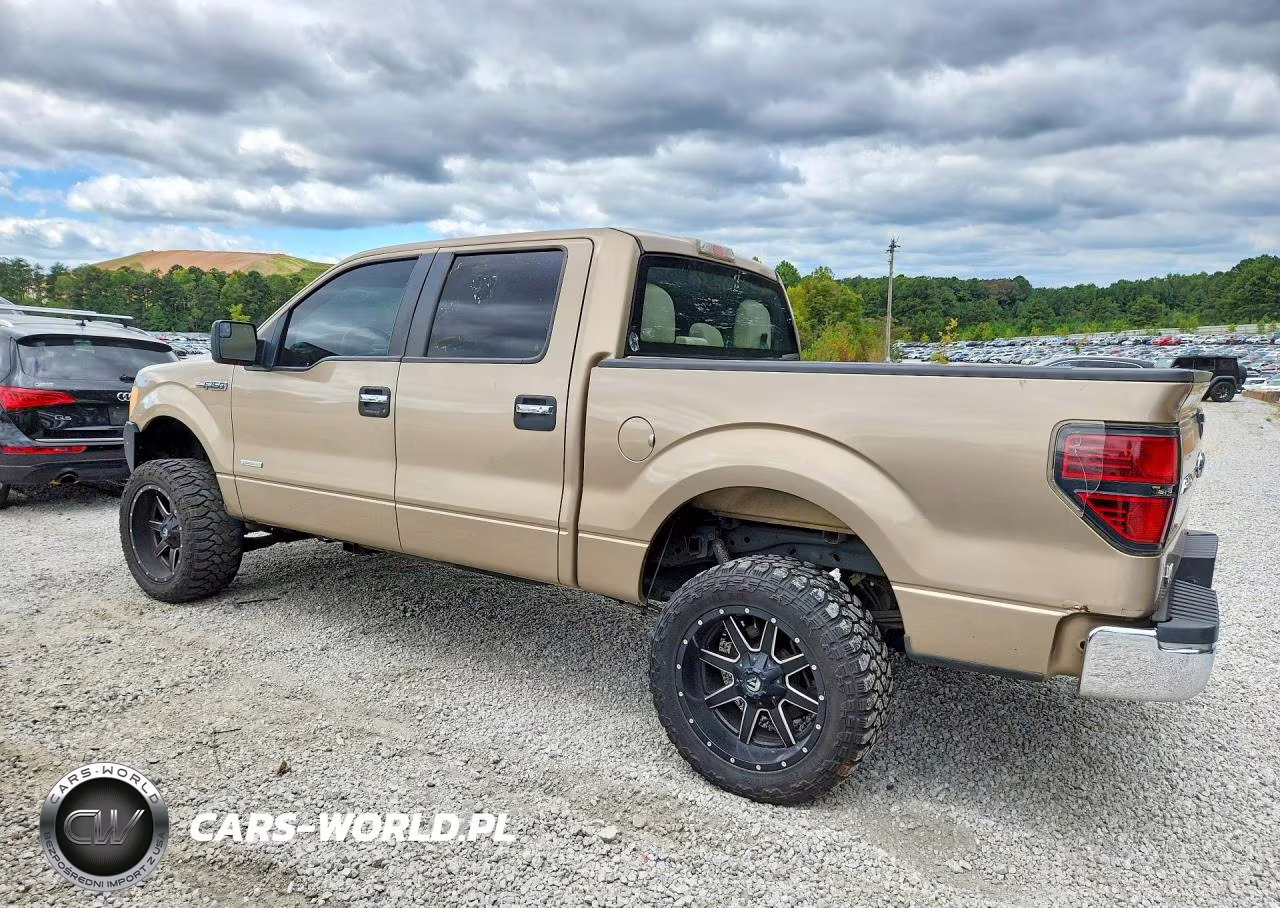 2013 Ford F150 Supercrew VIN:1FTFW1CT8DKG25549 - 2