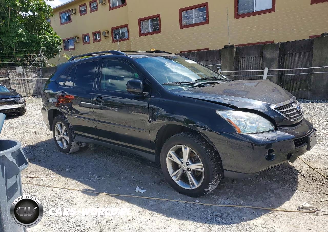 2007 Lexus Rx 400H VIN:JTJHW31U972019131 - 4
