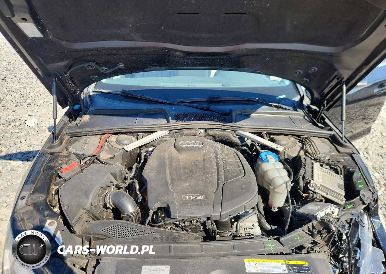 2019 Audi A4 Premium Plus VIN:WAUHMAF43KN004571 - 11