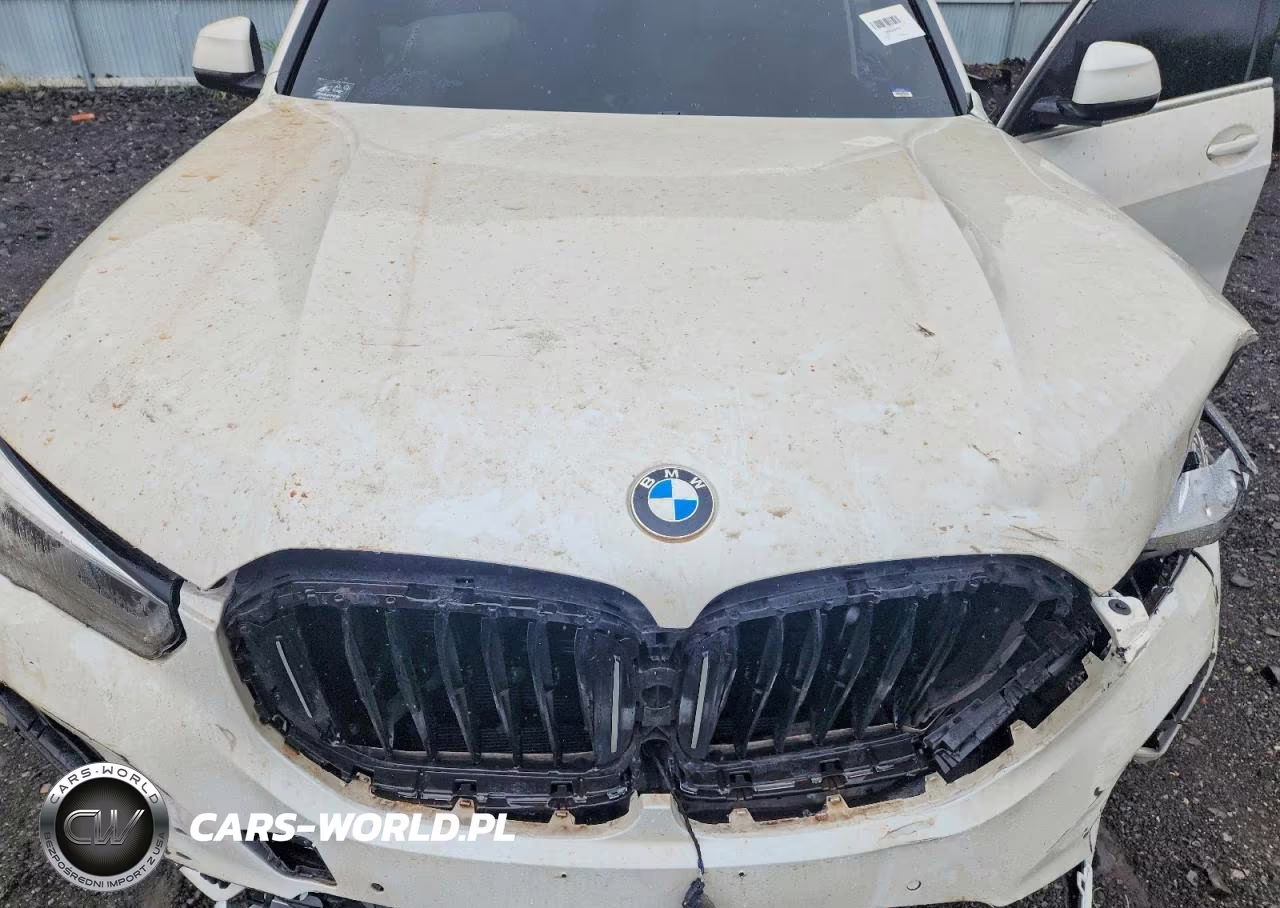 2019 BMW X5 xDrive40I VIN:5UXCR6C53KLL02783 - 12