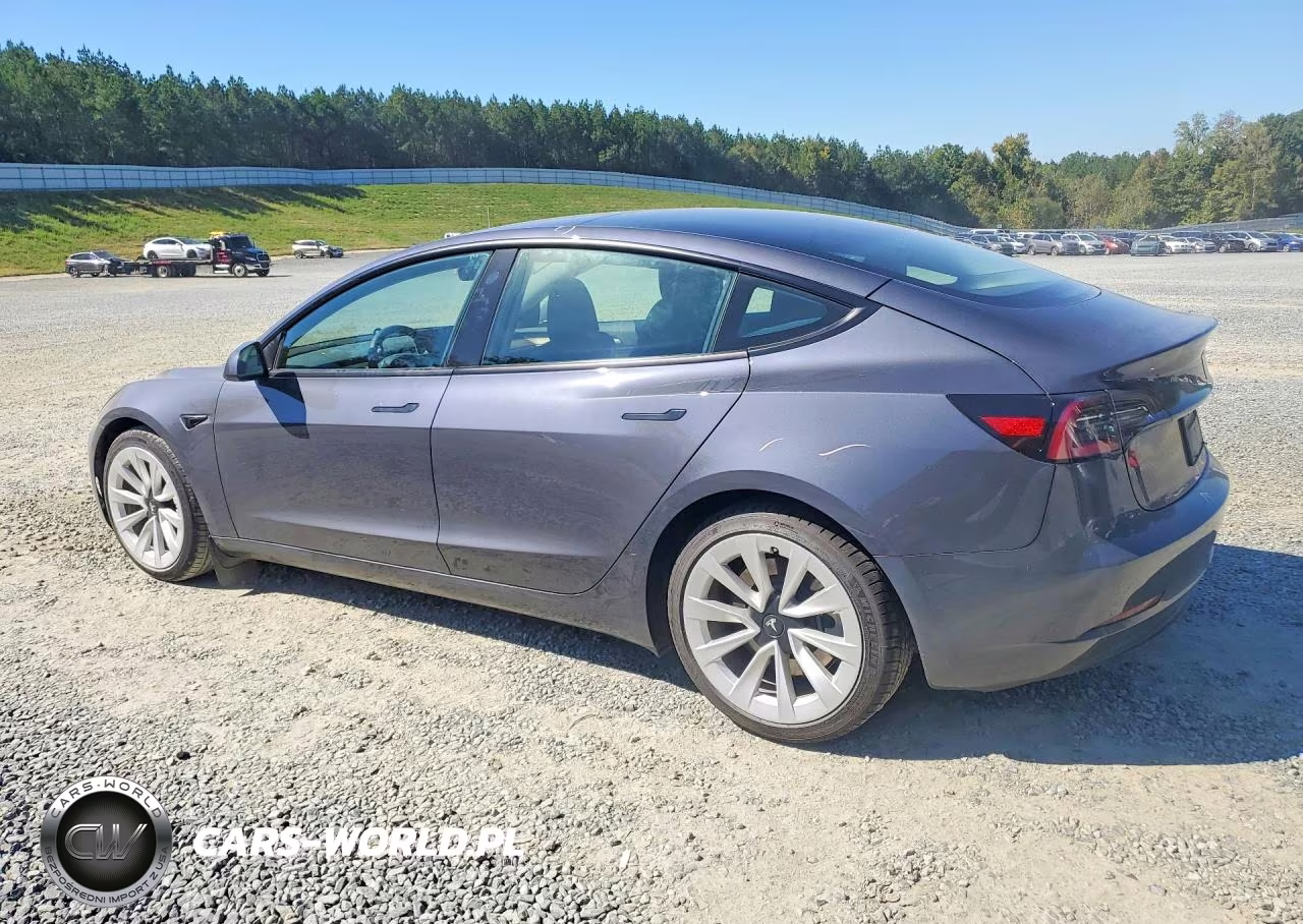 2023 Tesla Model 3 VIN:5YJ3E1EA2PF549037 - 2