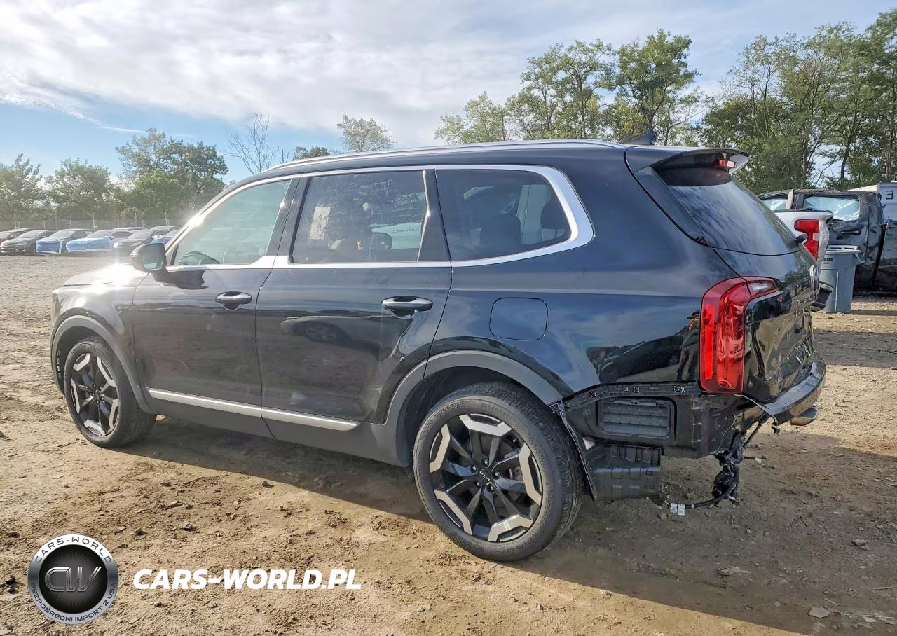 2025 Kia Telluride S VIN:5XYP64GC4SG682186 - 2