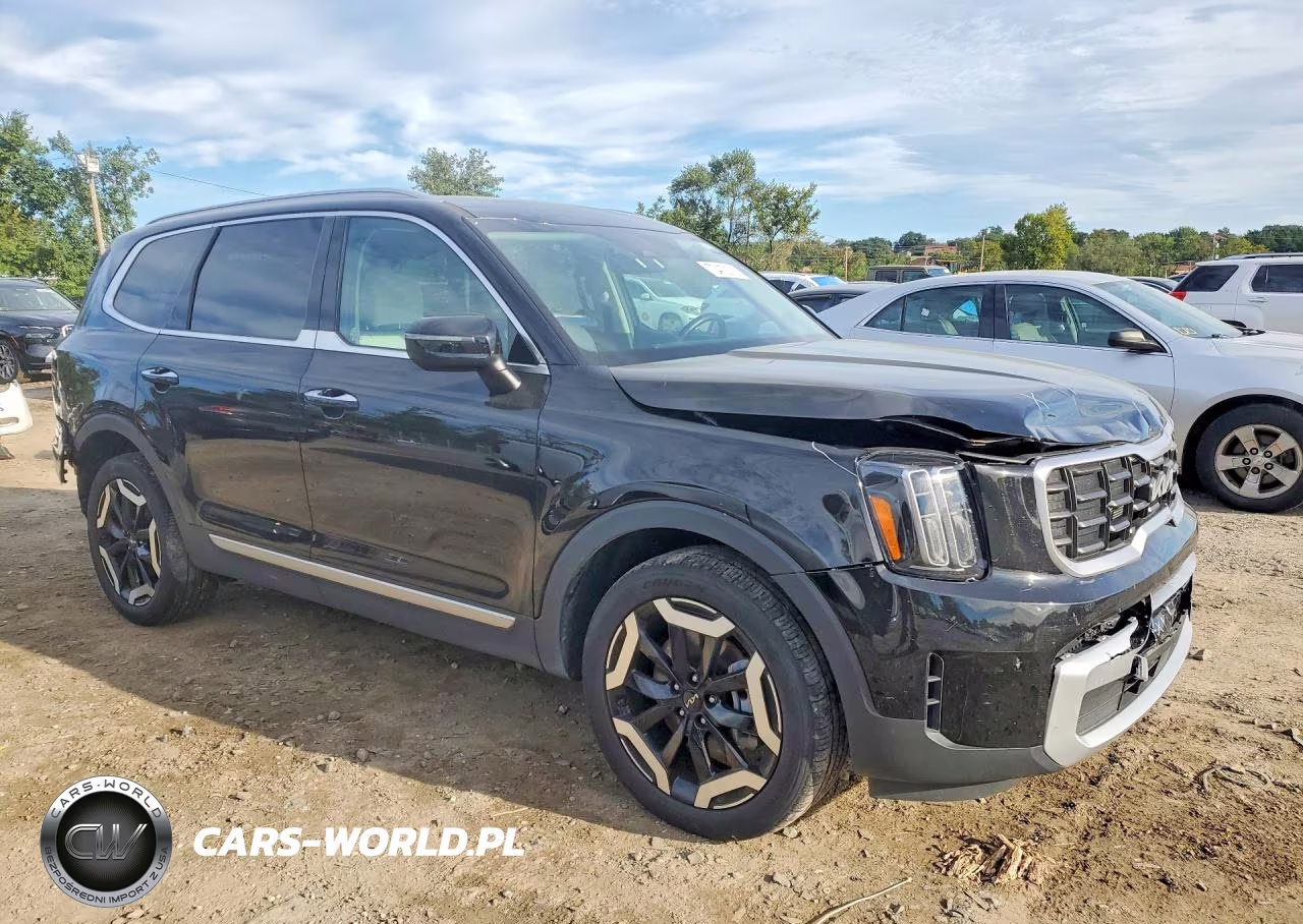 2025 Kia Telluride S VIN:5XYP64GC4SG682186 - 4