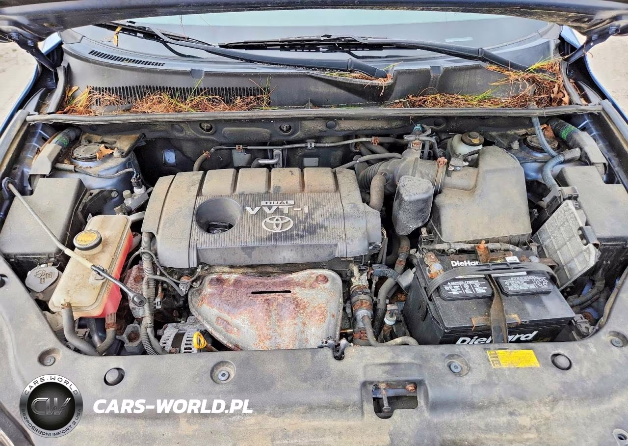 2010 Toyota Rav4 Base VIN:JTMJF4DV1A5021699 - 12