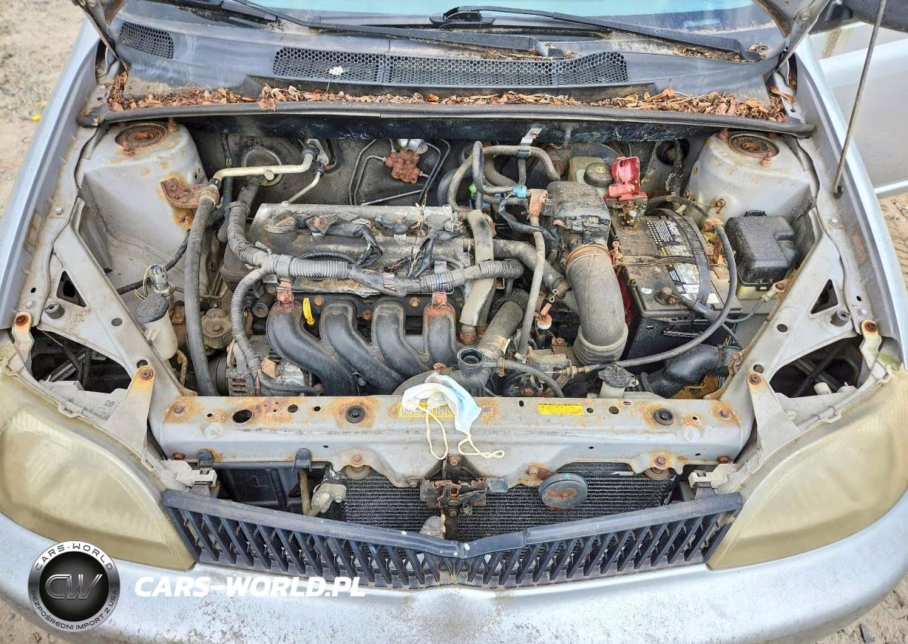 2002 Toyota Echo Base VIN:JTDBT123325024912 - 11