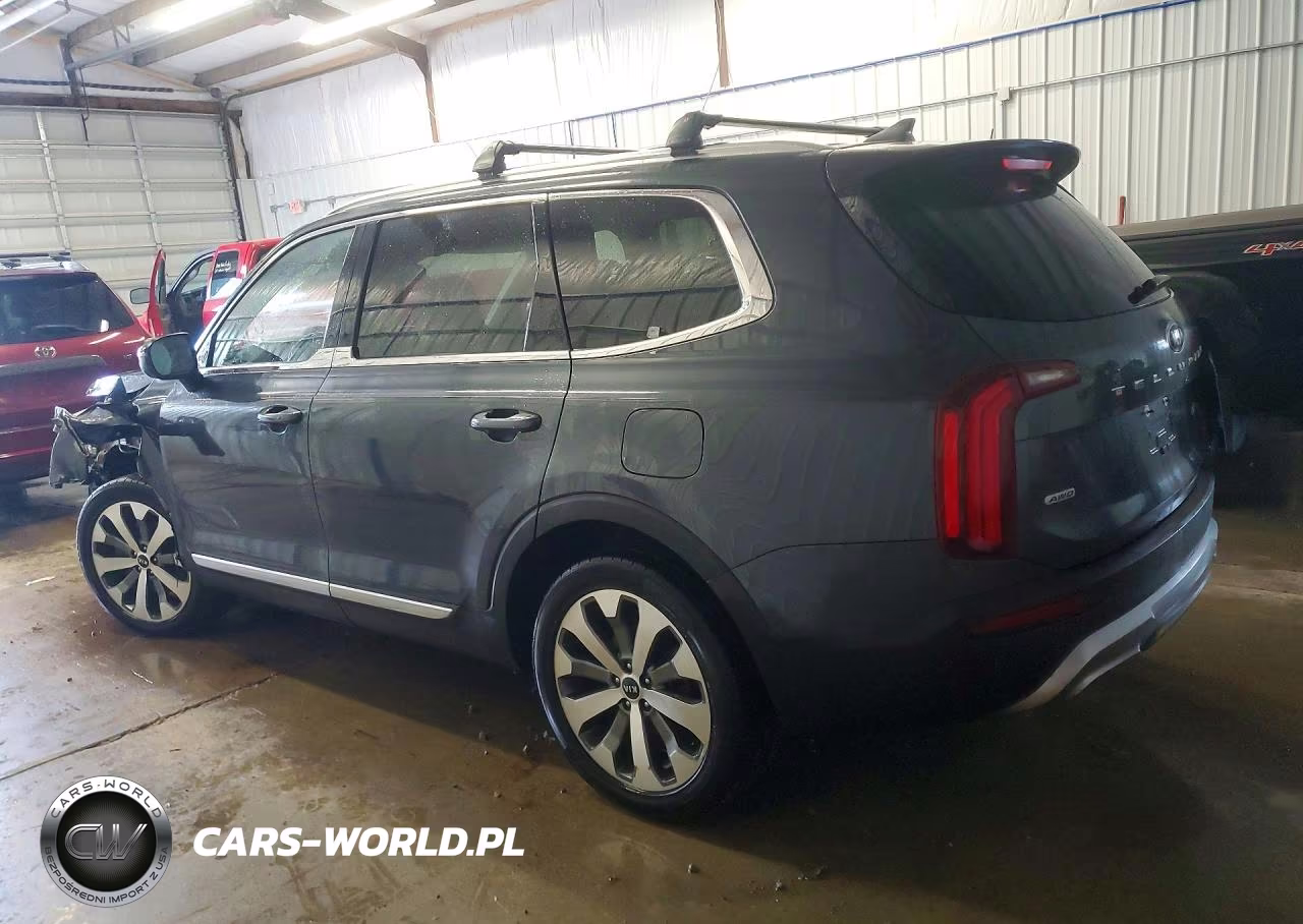 2020 Kia Telluride Ex VIN:5XYP3DHC6LG084609 - 2