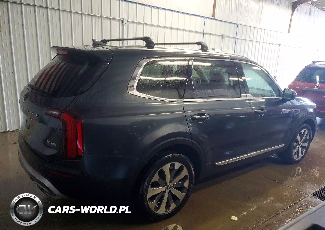 2020 Kia Telluride Ex VIN:5XYP3DHC6LG084609 - 3