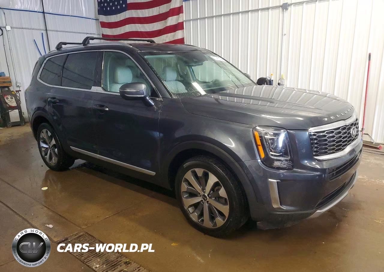 2020 Kia Telluride Ex VIN:5XYP3DHC6LG084609 - 4