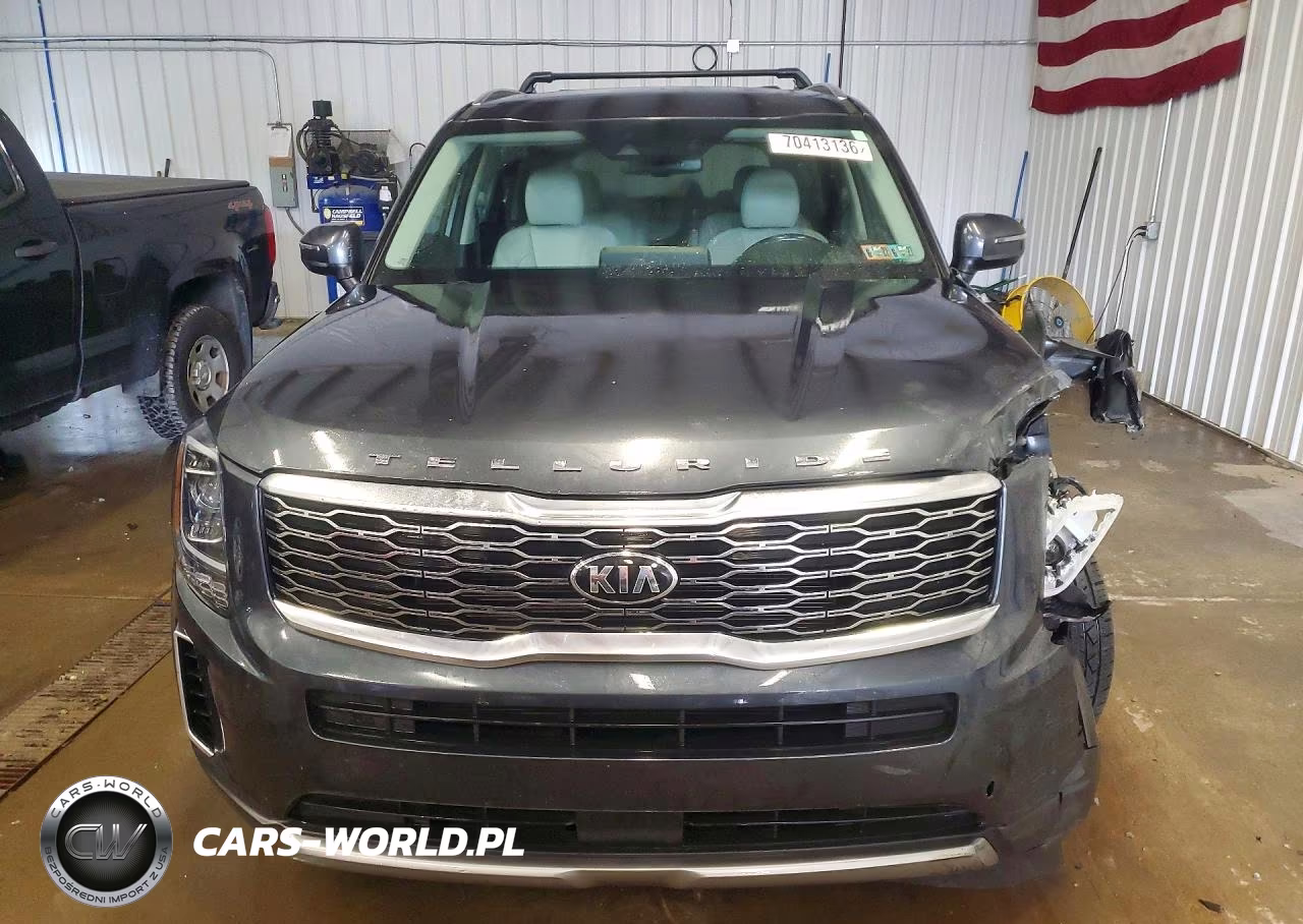 2020 Kia Telluride Ex VIN:5XYP3DHC6LG084609 - 5
