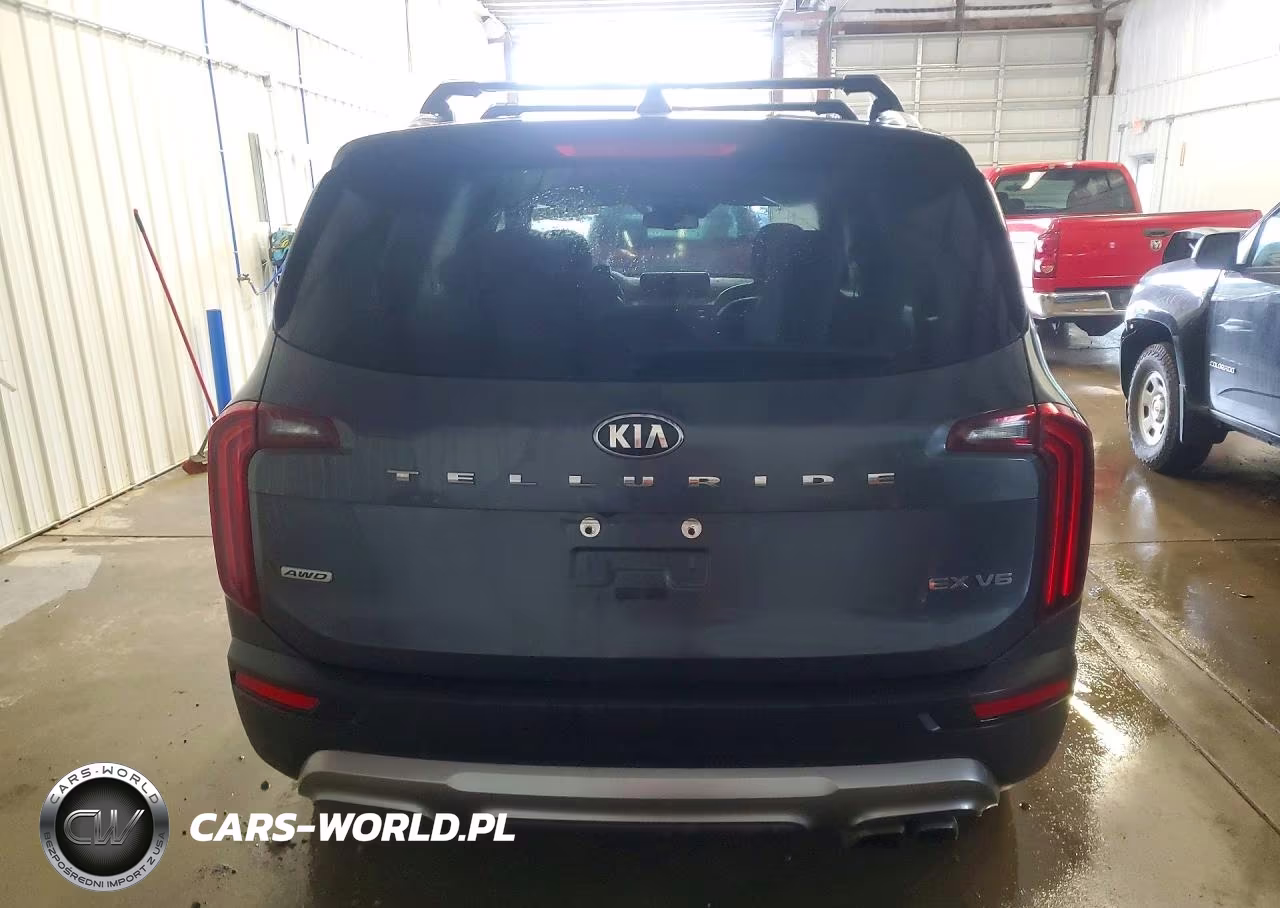 2020 Kia Telluride Ex VIN:5XYP3DHC6LG084609 - 6