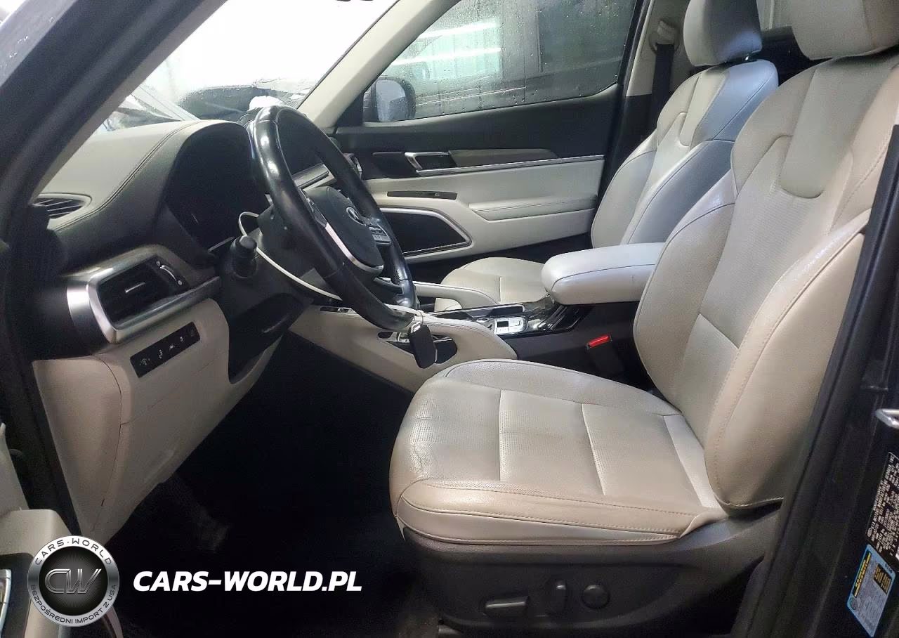2020 Kia Telluride Ex VIN:5XYP3DHC6LG084609 - 7