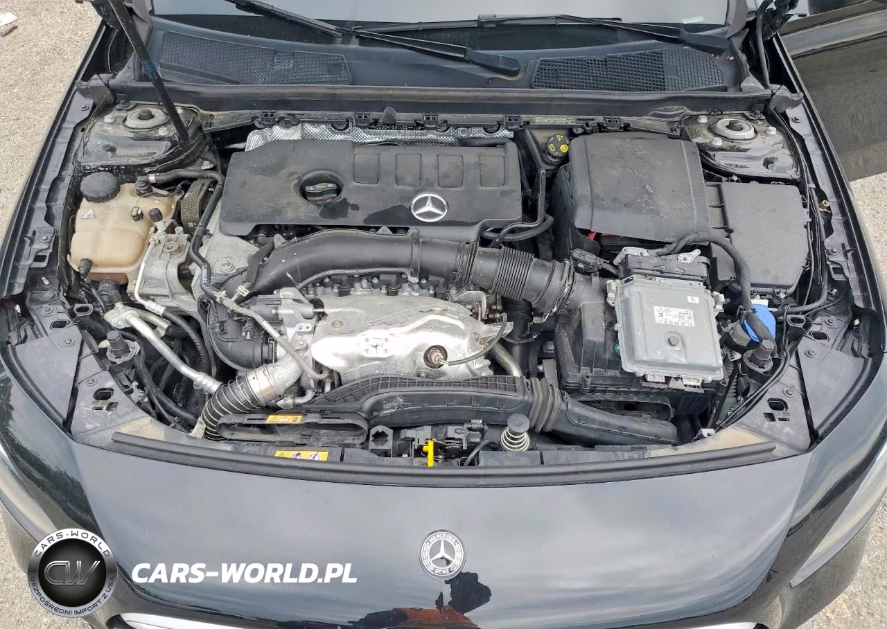 2019 Mercedes-Benz A 220 4Matic VIN:WDD3G4FB9KW024411 - 11