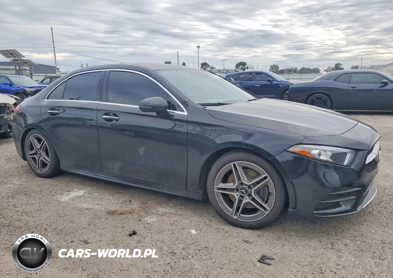 2019 Mercedes-Benz A 220 4Matic VIN:WDD3G4FB9KW024411 - 4