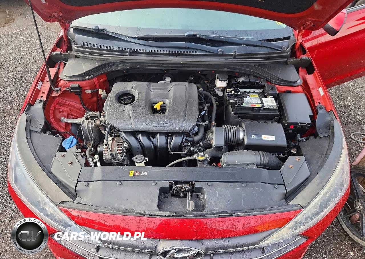 2019 Hyundai Elantra Value Edition VIN:KMHD84LF0KU785497 - 11