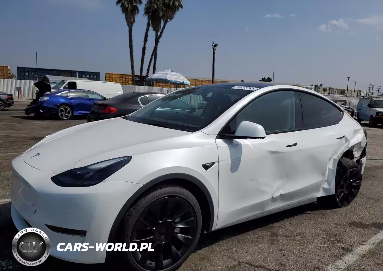 2024 Tesla Model Y