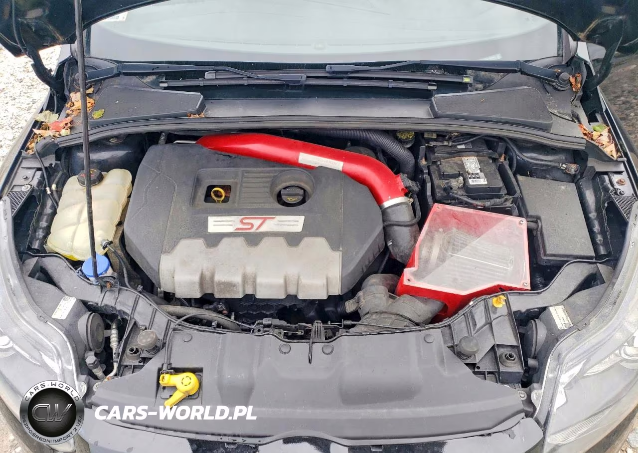 2013 Ford Focus St VIN:1FADP3L99DL185653 - 11