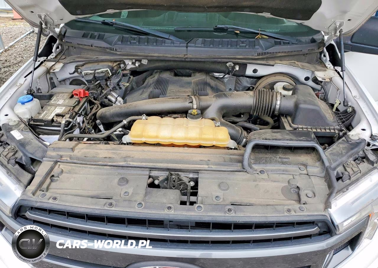 2019 Ford F150 VIN:1FTEW1C44KFB11417 - 11
