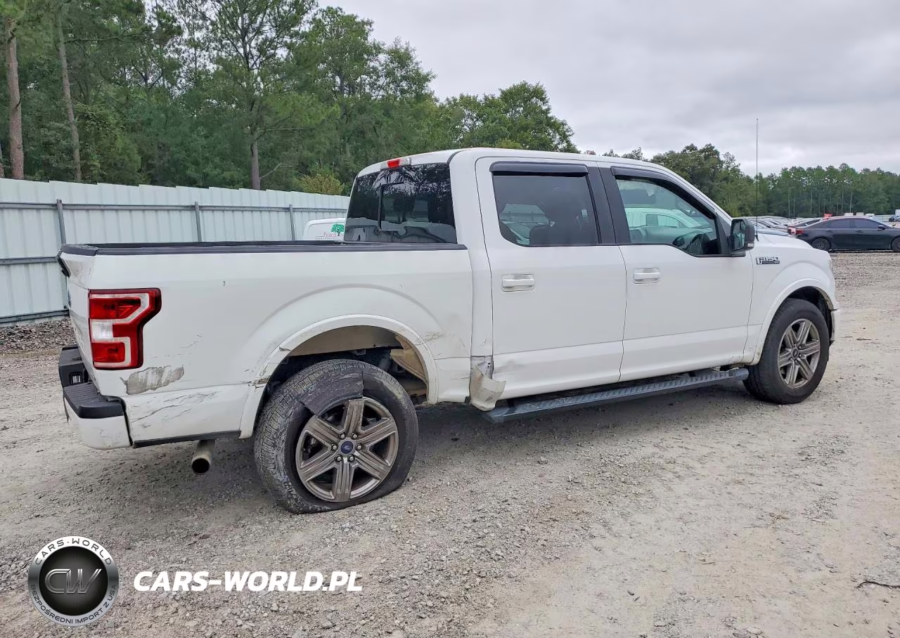 2019 Ford F150 VIN:1FTEW1C44KFB11417 - 3