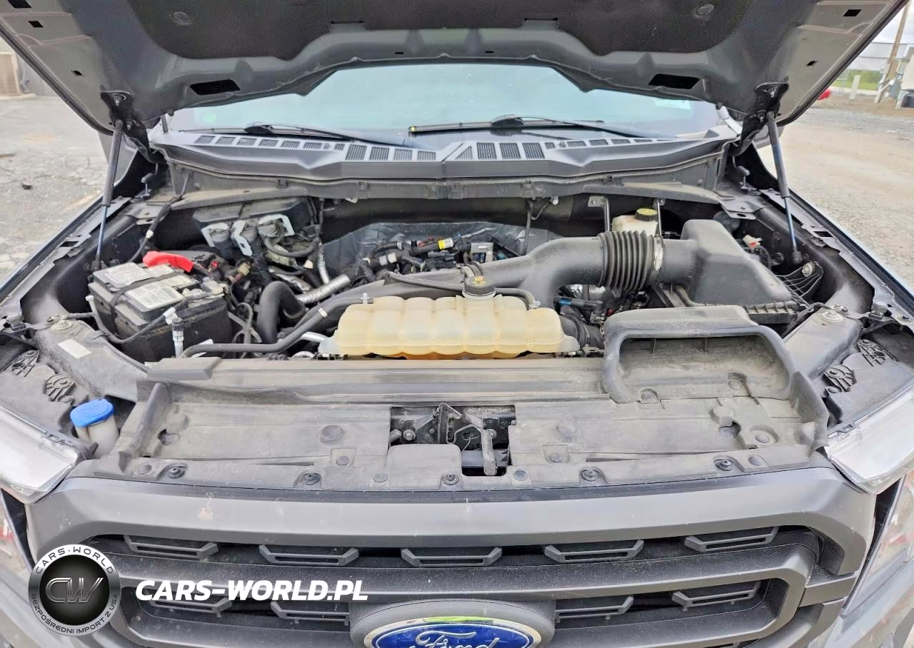 2021 Ford F150 Supercrew VIN:1FTEW1EP9MFC42322 - 11