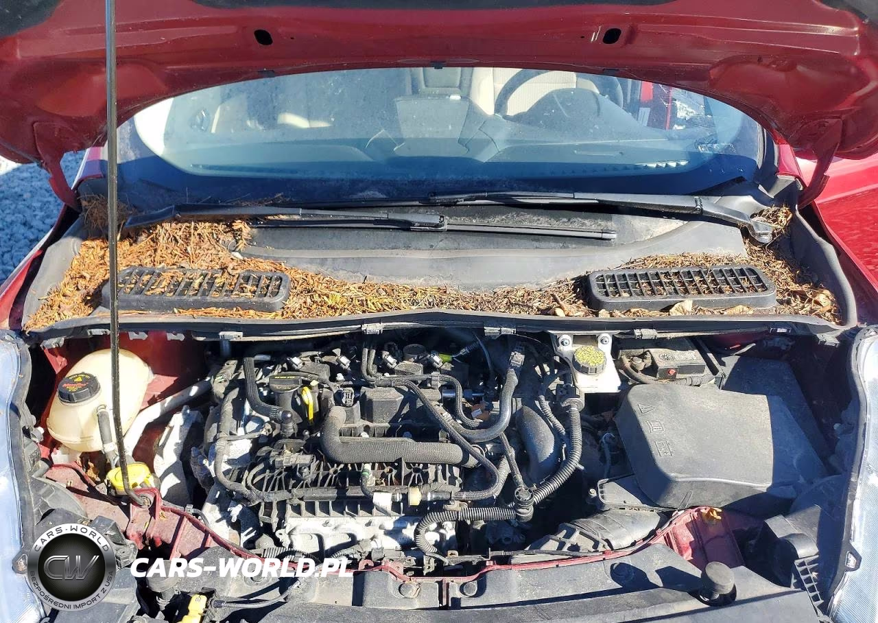 2019 Ford Escape Se VIN:1FMCU0GD7KUA59399 - 12