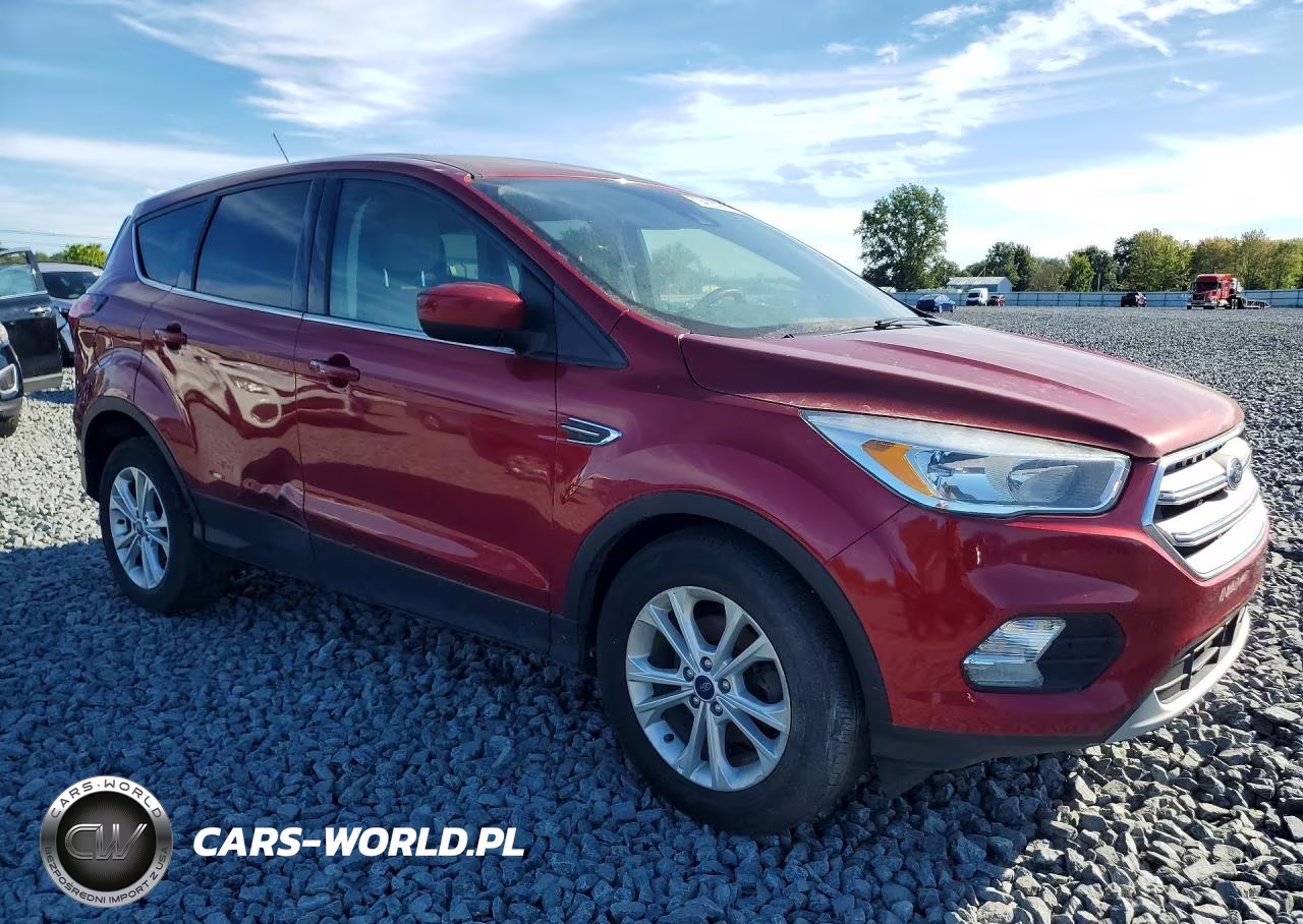 2019 Ford Escape Se VIN:1FMCU0GD7KUA59399 - 4