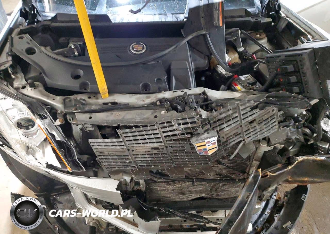2012 Cadillac Srx VIN:3GYFNGE38CS527587 - 12