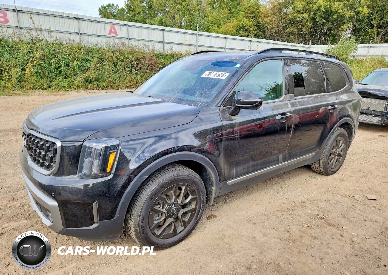 2023 Kia Telluride Sx X-Pro VIN:5XYP5DGC4PG349223 - 1
