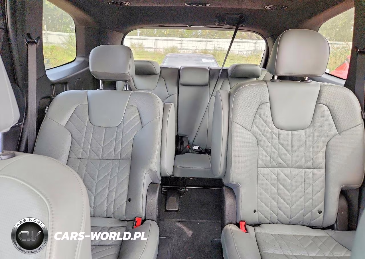 2023 Kia Telluride Sx X-Pro VIN:5XYP5DGC4PG349223 - 10
