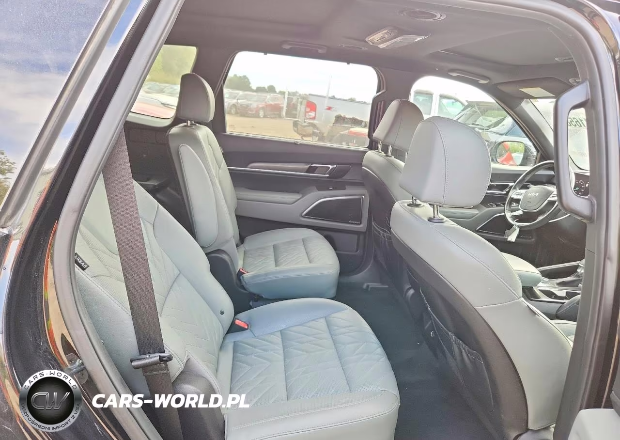 2023 Kia Telluride Sx X-Pro VIN:5XYP5DGC4PG349223 - 11