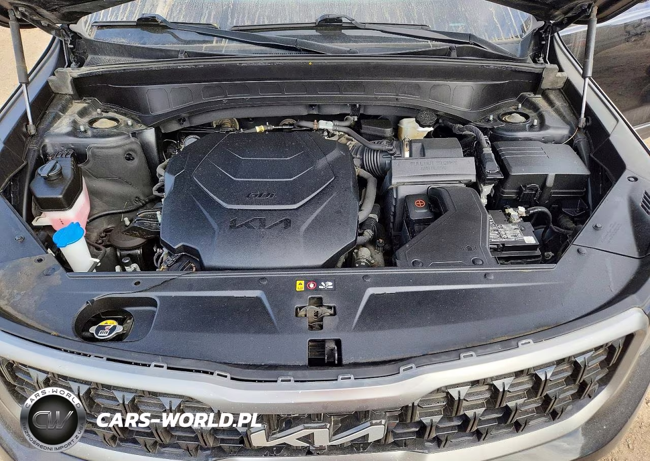 2023 Kia Telluride Sx X-Pro VIN:5XYP5DGC4PG349223 - 12