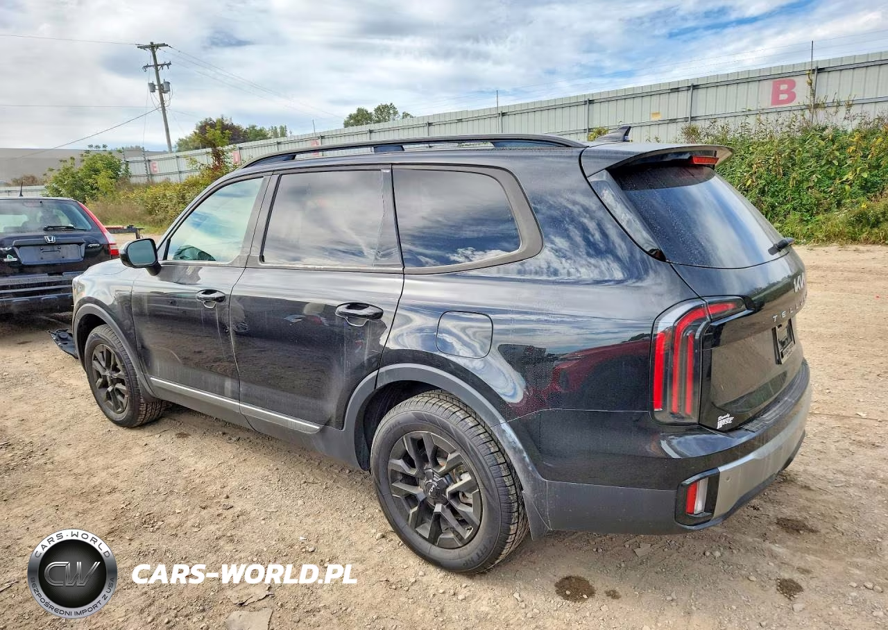 2023 Kia Telluride Sx X-Pro VIN:5XYP5DGC4PG349223 - 2