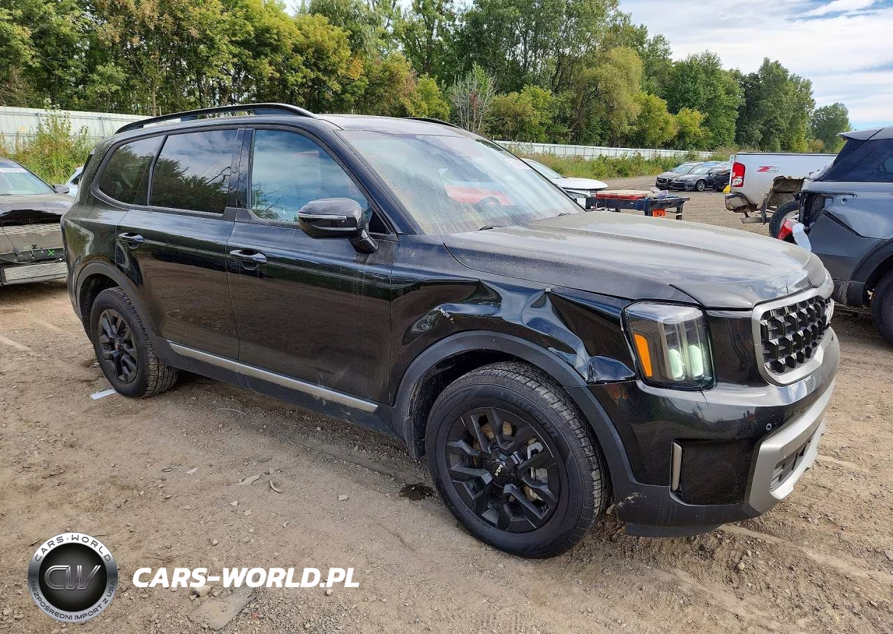 2023 Kia Telluride Sx X-Pro VIN:5XYP5DGC4PG349223 - 4
