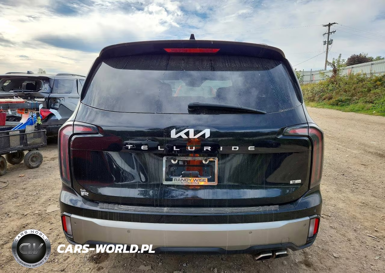 2023 Kia Telluride Sx X-Pro VIN:5XYP5DGC4PG349223 - 6