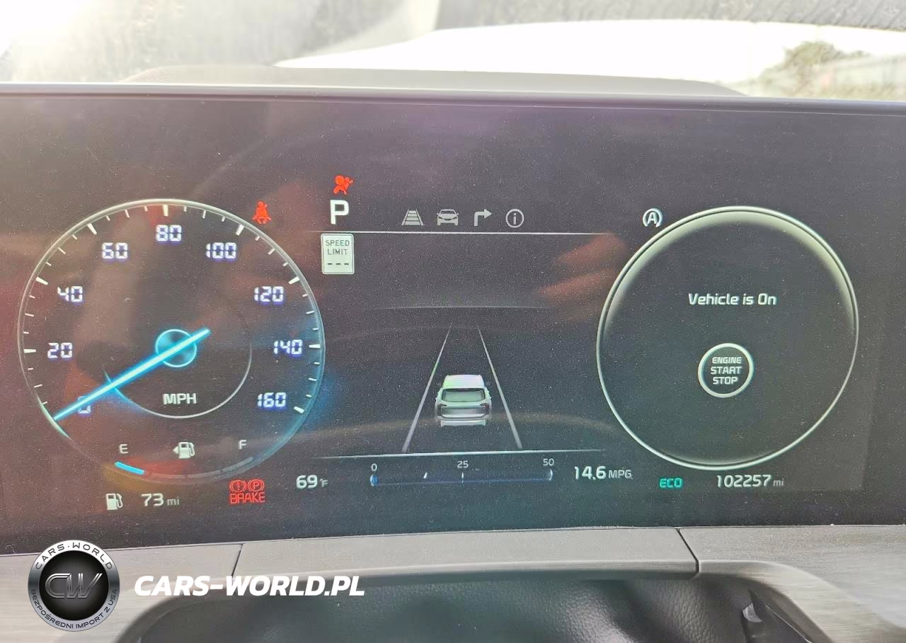 2023 Kia Telluride Sx X-Pro VIN:5XYP5DGC4PG349223 - 9