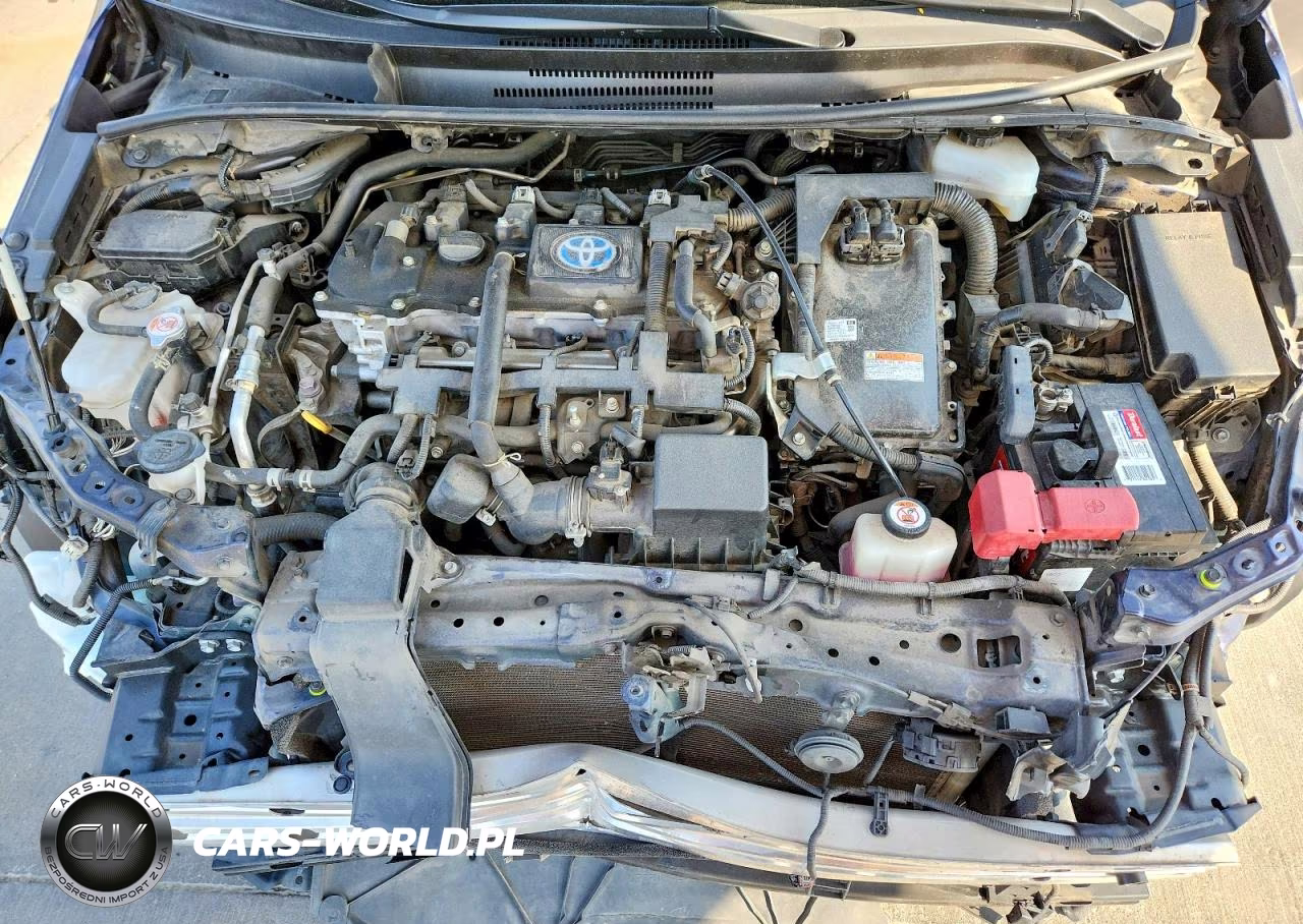 2021 Toyota Corolla Le VIN:JTDEAMDE8MJ024515 - 11