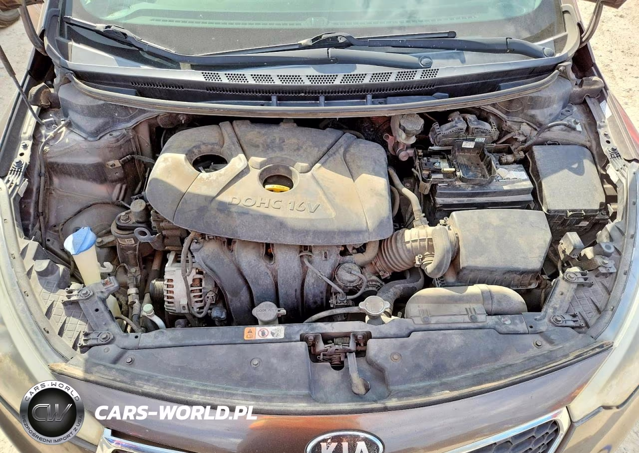2014 Kia Forte Lx VIN:KNAFX4A60E5099636 - 11
