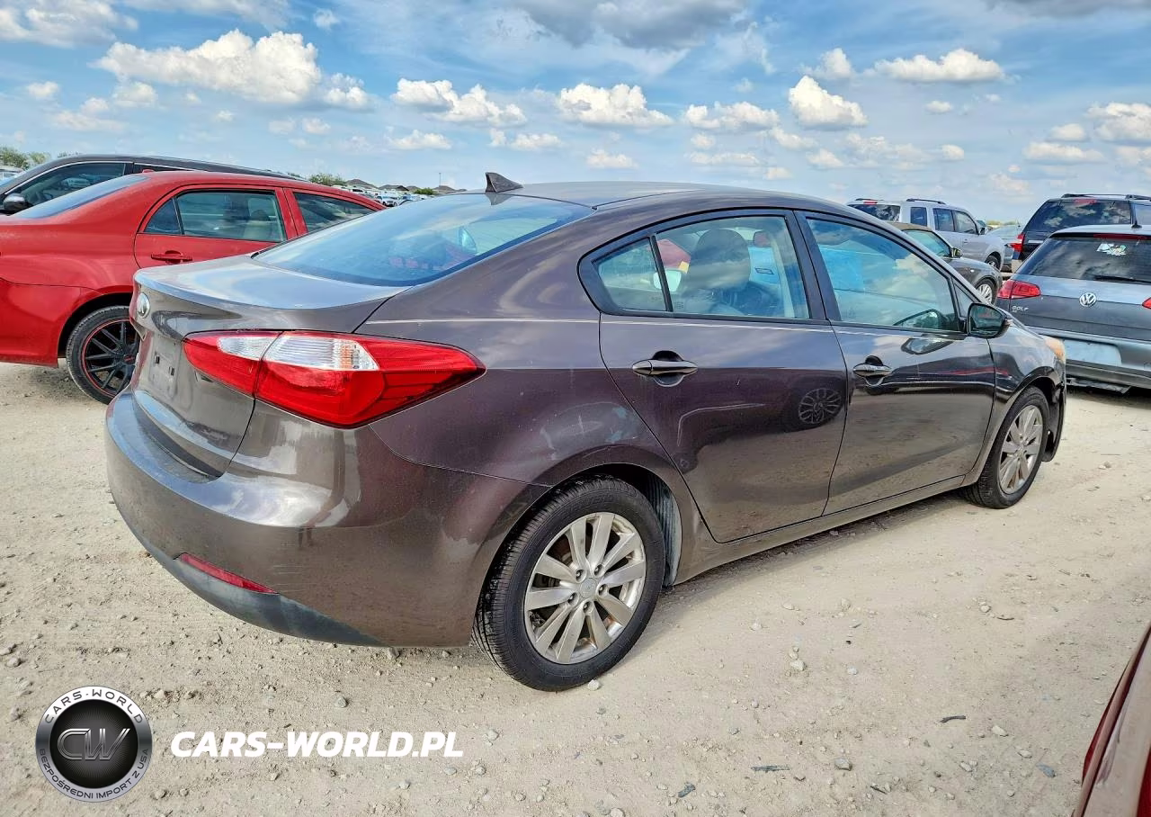 2014 Kia Forte Lx VIN:KNAFX4A60E5099636 - 3