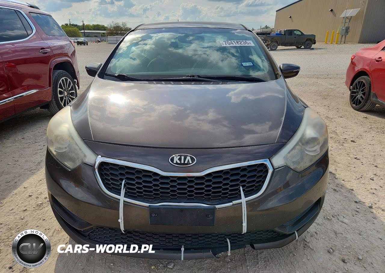 2014 Kia Forte Lx VIN:KNAFX4A60E5099636 - 5