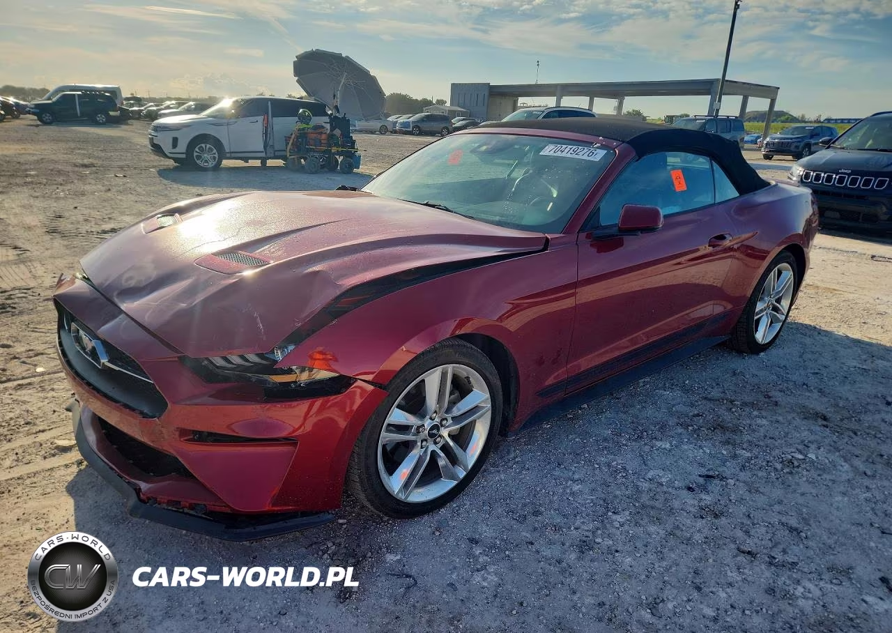 2019 Ford Mustang VIN:1FATP8UH2K5160903 - 1