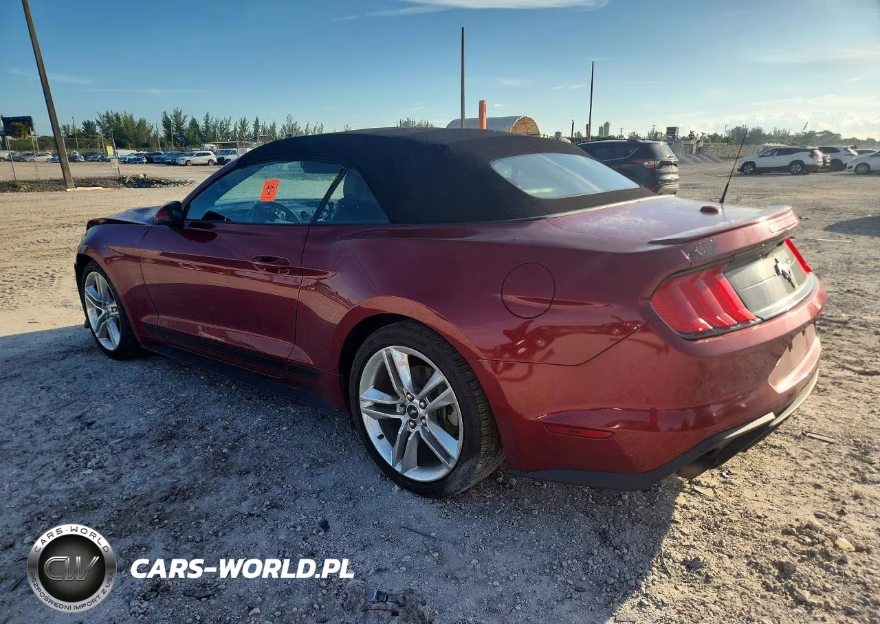 2019 Ford Mustang VIN:1FATP8UH2K5160903 - 2