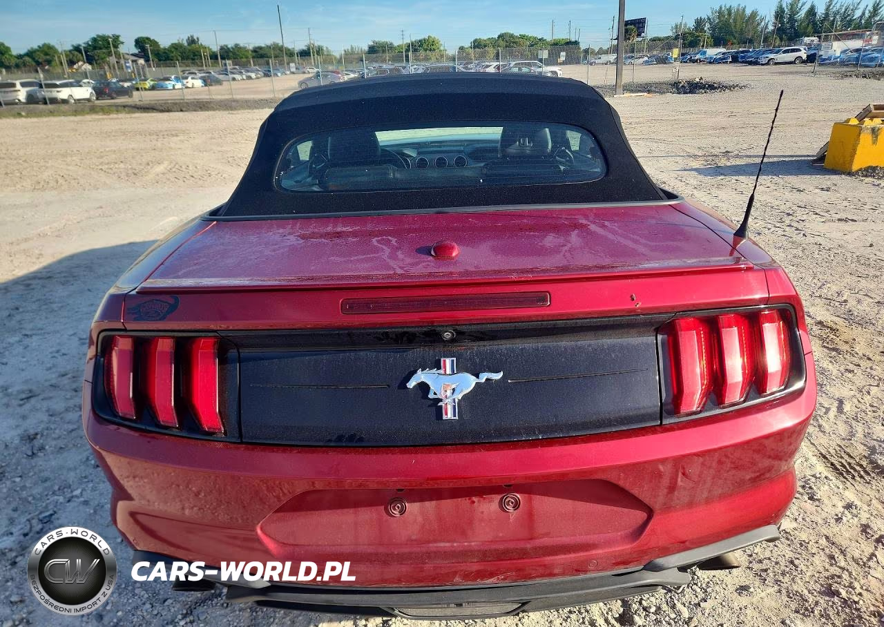 2019 Ford Mustang VIN:1FATP8UH2K5160903 - 6