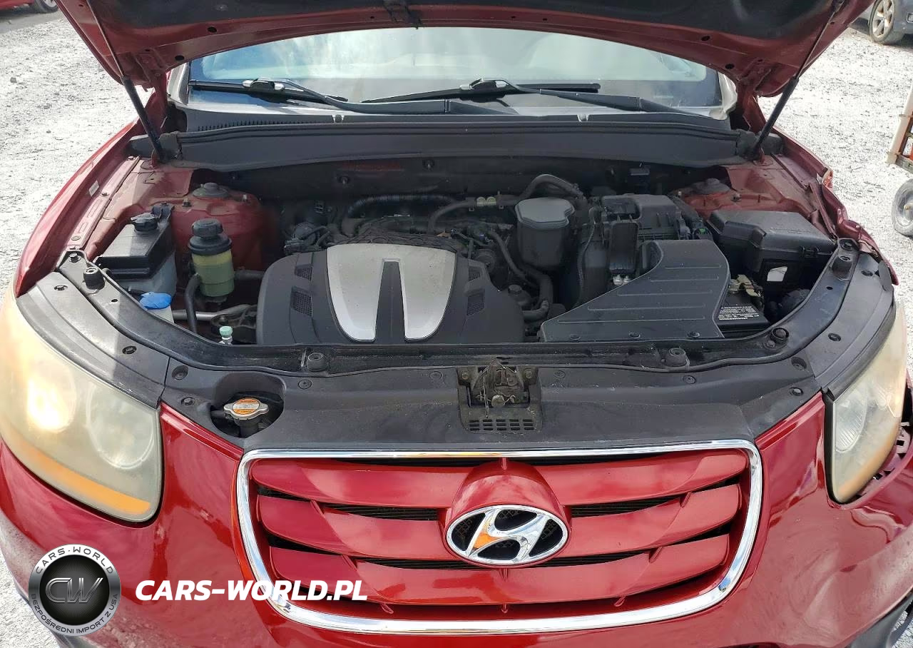 2010 Hyundai Santa Fe Se VIN:5NMSHDAG9AH345887 - 12