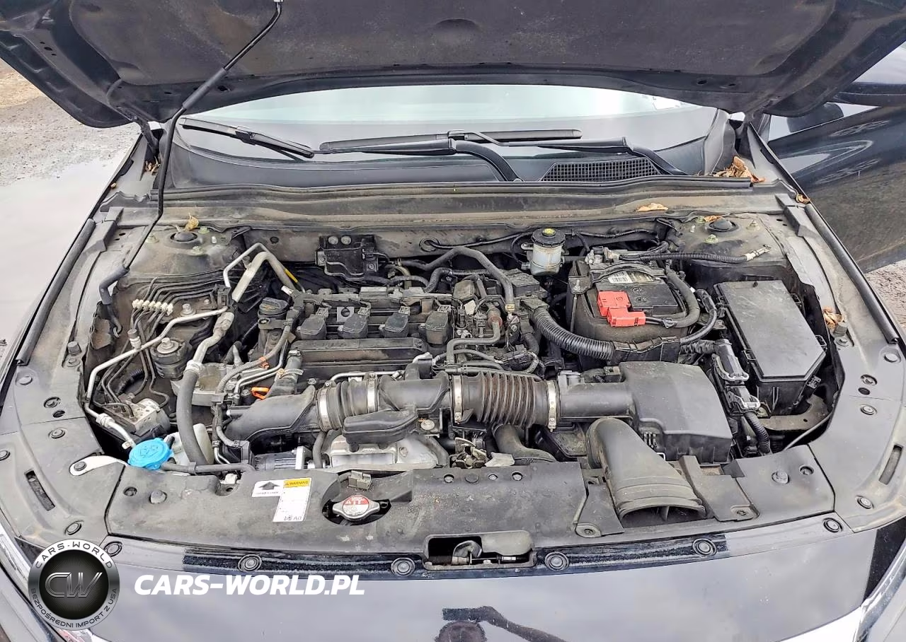 2021 Honda Accord Lx VIN:1HGCV1F16MA033249 - 11