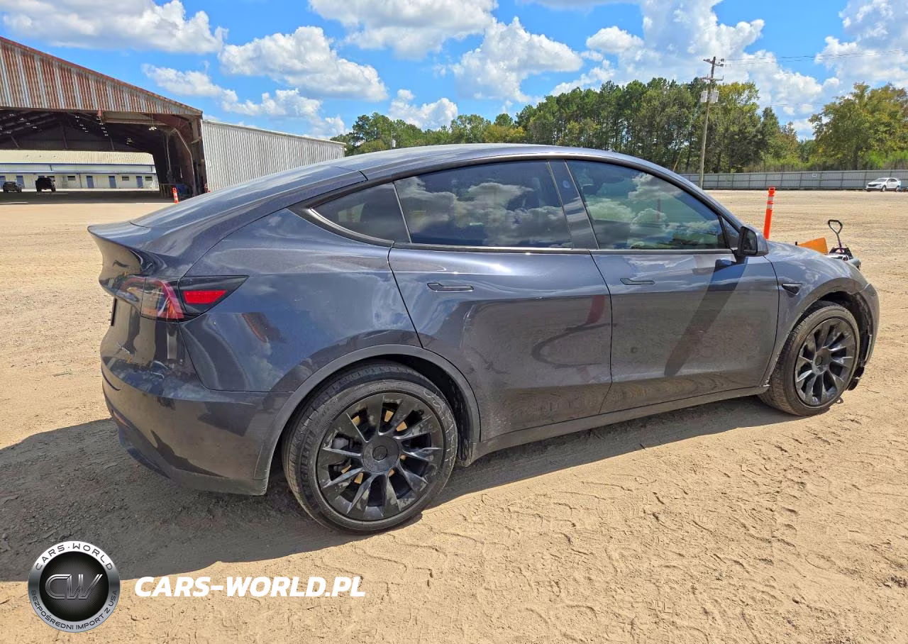 2024 Tesla Model Y VIN:7SAYGDEE3RA224579 - 3