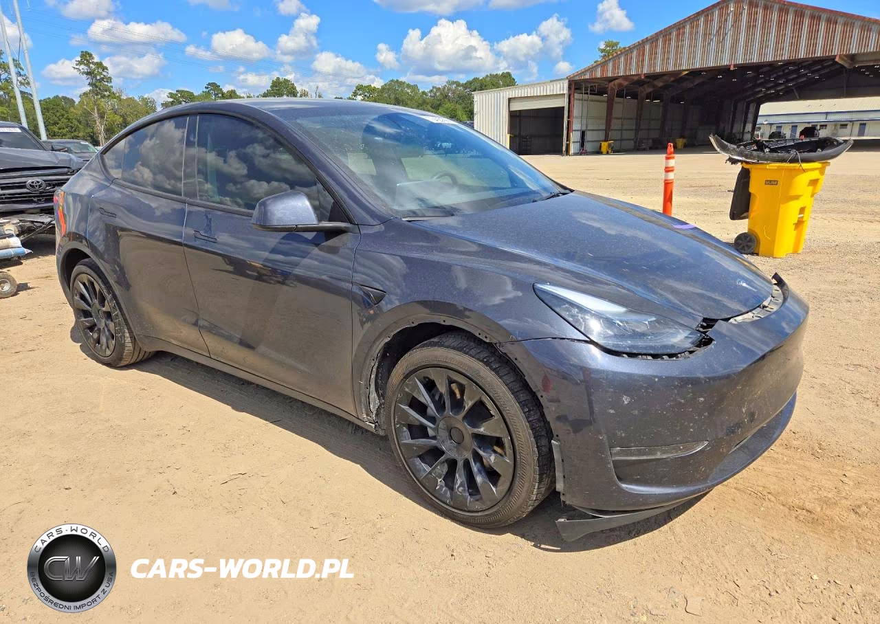 2024 Tesla Model Y VIN:7SAYGDEE3RA224579 - 4