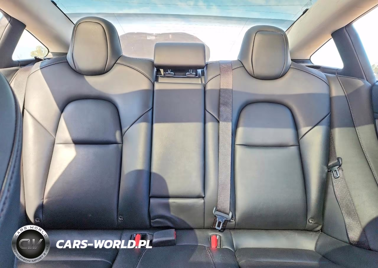 2021 Tesla Model 3 VIN:5YJ3E1EA2MF923271 - 10