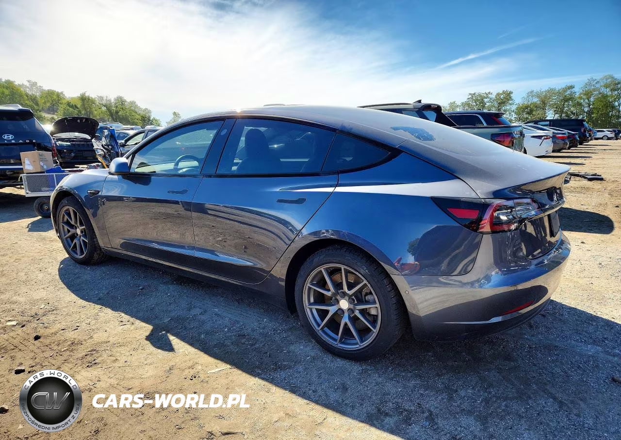 2021 Tesla Model 3 VIN:5YJ3E1EA2MF923271 - 2